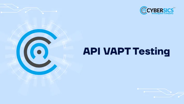 API VAPT Testing