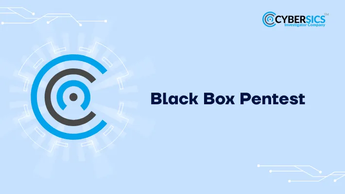 Black Box Pentest