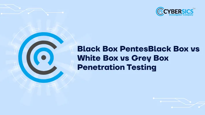 Black Box vs White Box vs Grey Box Penetration Testing