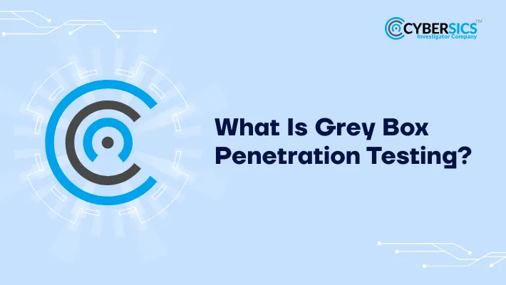 Grey Box Penetration Testing