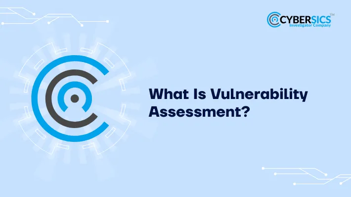 What Is Vulnerability Assessment