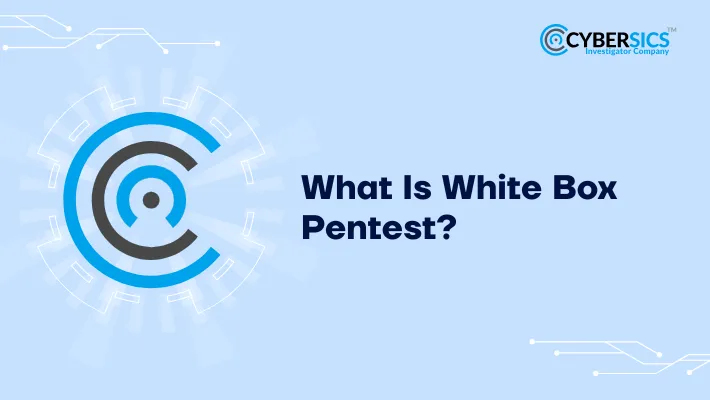 What Is White Box Pentest