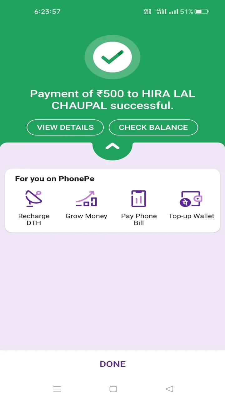 fake phone pay screenshot